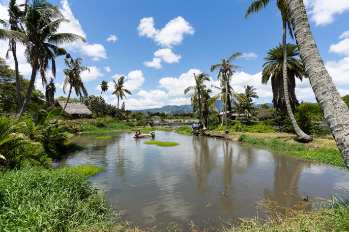 Lauhoe: Dual-campus collaboration boosts loko i‘a restoration