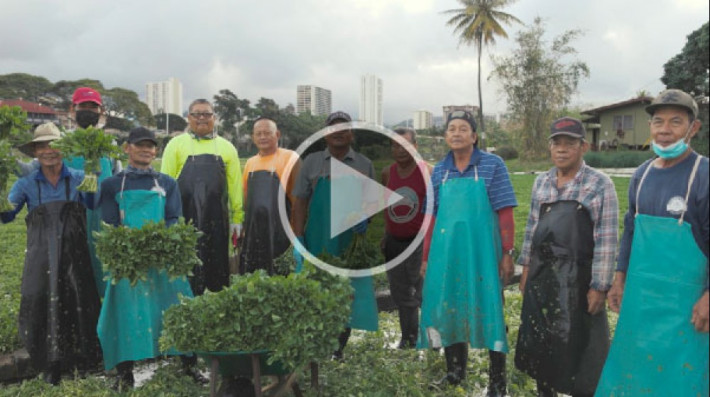 Resilient partners create resilient communities