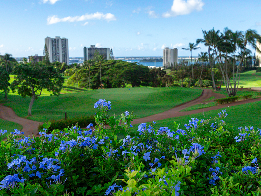 Pearl at Kalauao